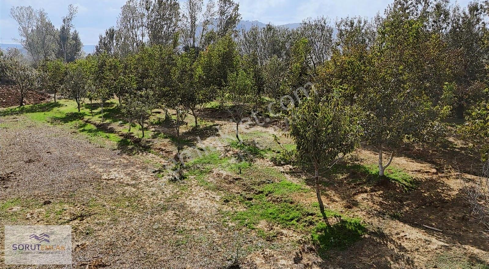 Yatırımlık Fırsat! Keşan Akhoca Köyünde %60 İmarlı 2200 M² Arsa - Görsel 33