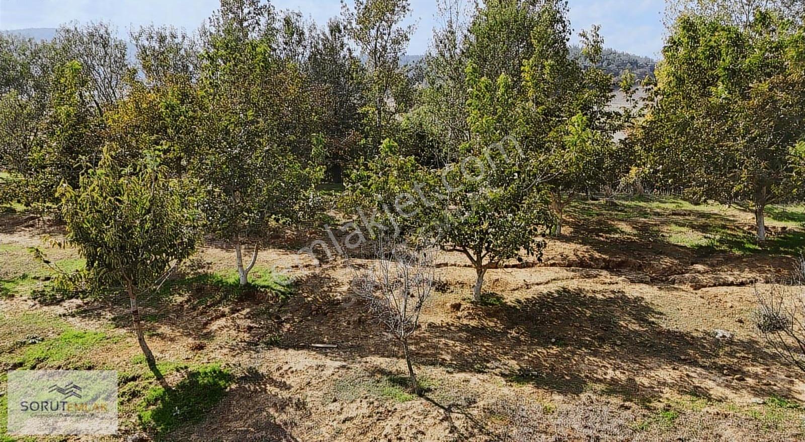 Yatırımlık Fırsat! Keşan Akhoca Köyünde %60 İmarlı 2200 M² Arsa - Görsel 19