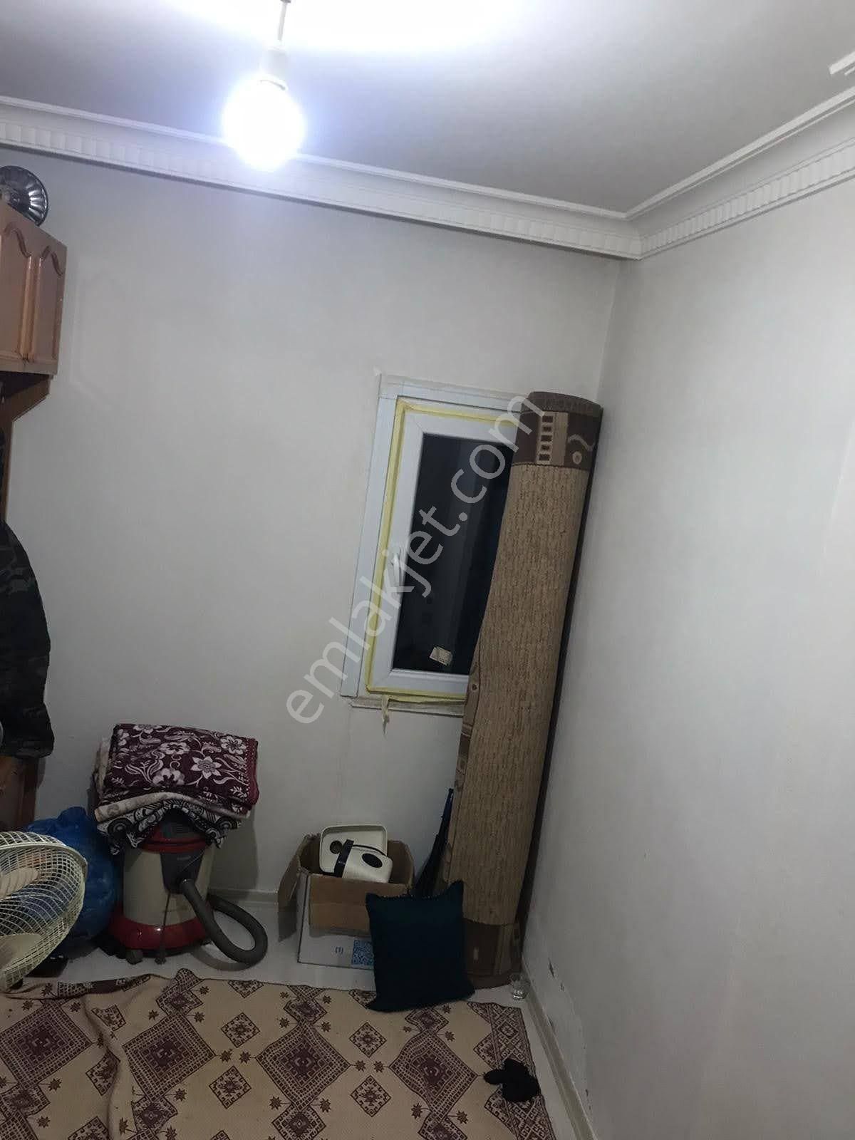 Satılık Bahçe Katy - Görsel 9