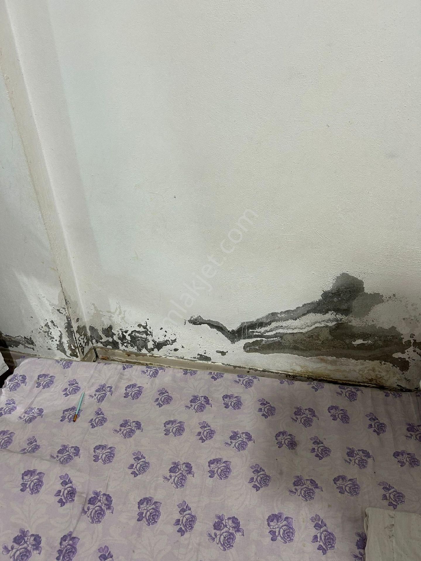 Satılık Bahçe Katy - Görsel 12