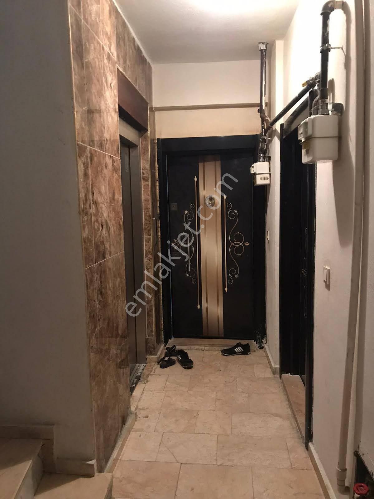 Satılık Bahçe Katy - Görsel 7