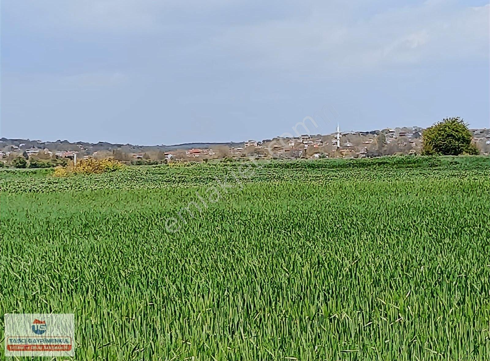 Vize Evrenli Çevre Yolu Asfalta 500 Metre Mesafede Satılık 291 M2 Tarla - Görsel 11