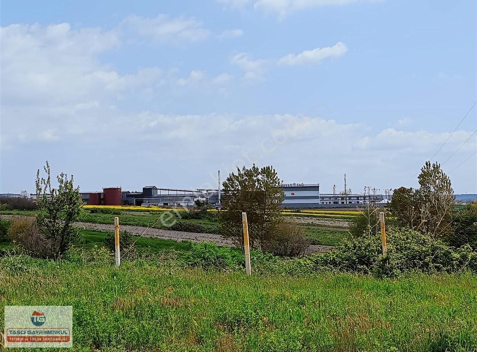 Vize Evrenli Çevre Yolu Asfalta 500 Metre Mesafede Satılık 291 M2 Tarla - Görsel 2