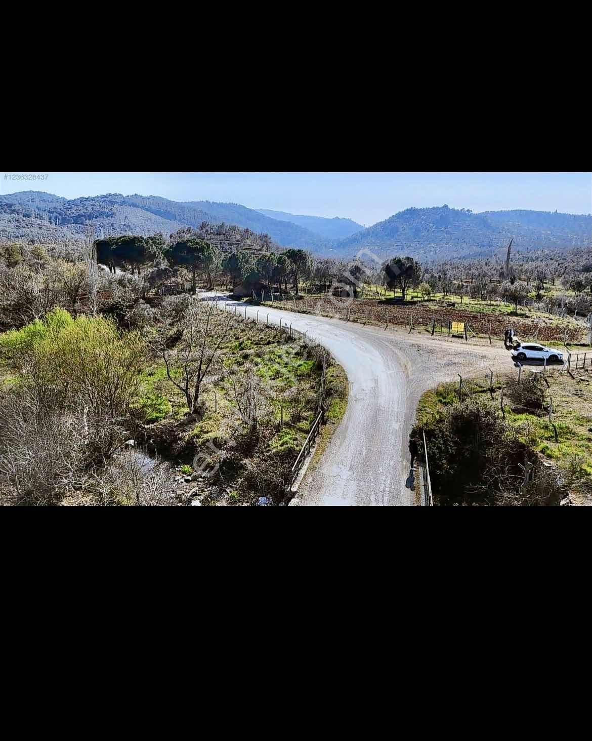 Mirya Gayrimenkul Den Satılık Tarla - Görsel 6