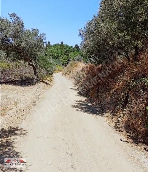 Balıkkesir Erdek Karşıyaka Da Fırsat Yolu Ulaşim Elektrik Su