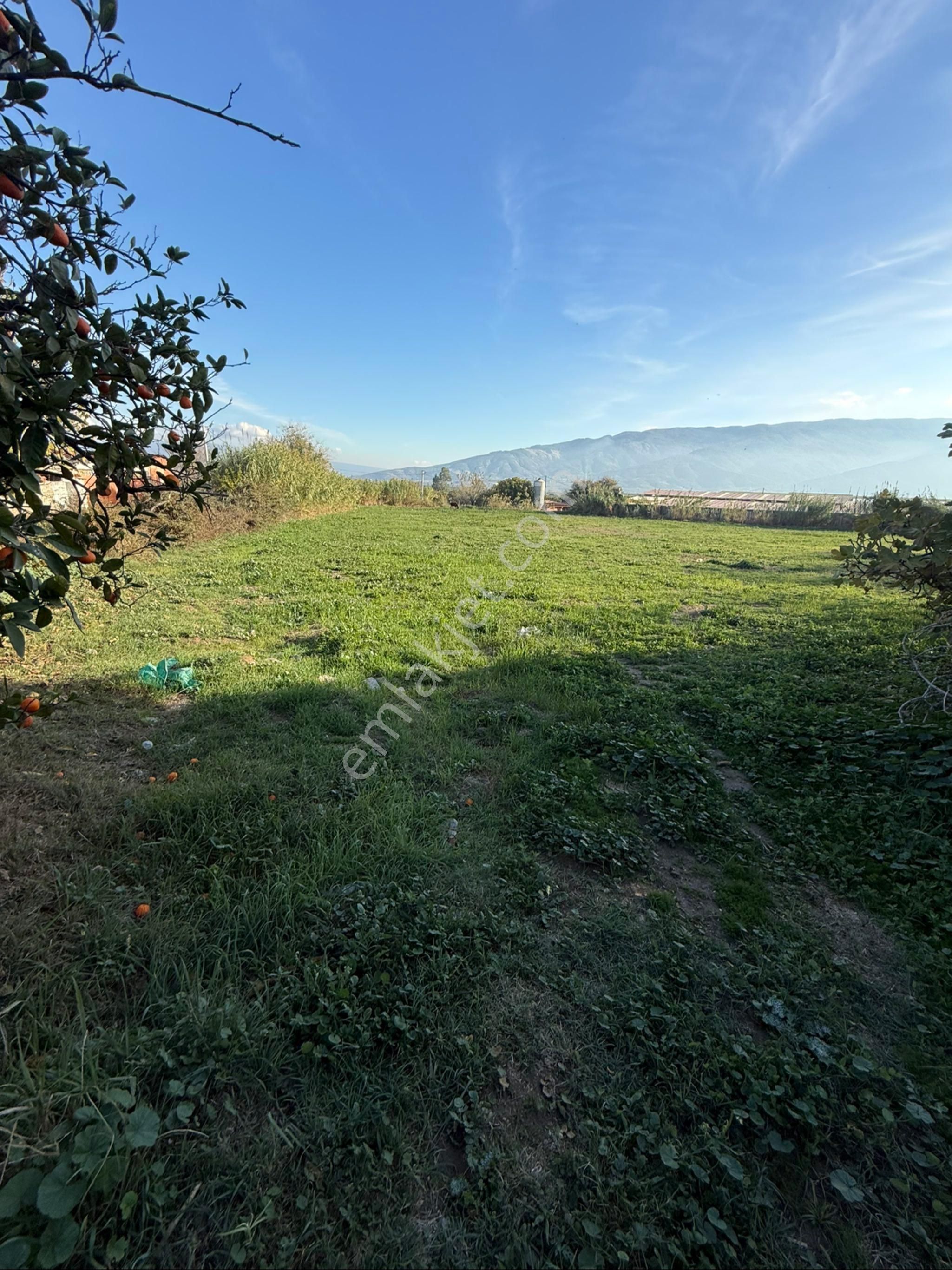 İzmir Denizli Karayoluna Sıfır 4.820 Metrekare Satılık Ticari Alan - Görsel 8