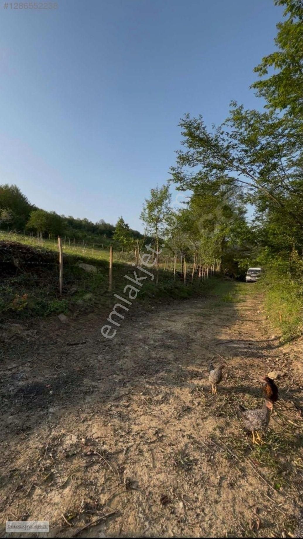 Samsun Kavak Kazancı Da 9.383 M2 -160 Ada 8 Parsel Resmi Yol Cepheli Mükemmel Tarla - Görsel 7