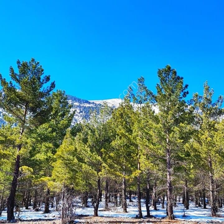 Kar Emlaktan Yenikonacık Efes Sitesi Üstünde 400 M2 İmarlı İfrazlı Satılık Arsa - Görsel 14