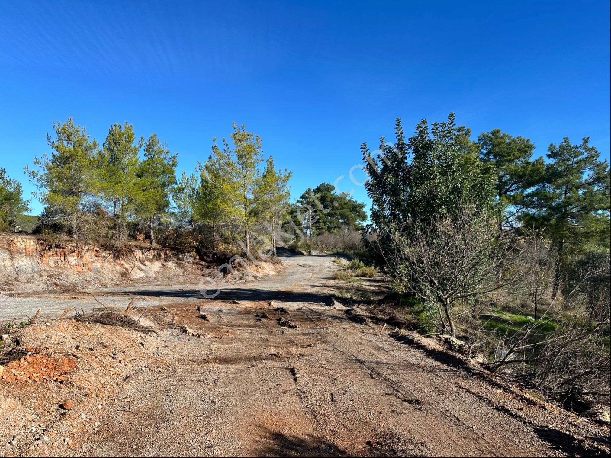 Alanya Karamanlarda Satılık 2.650 M2 Tarla - Görsel 5