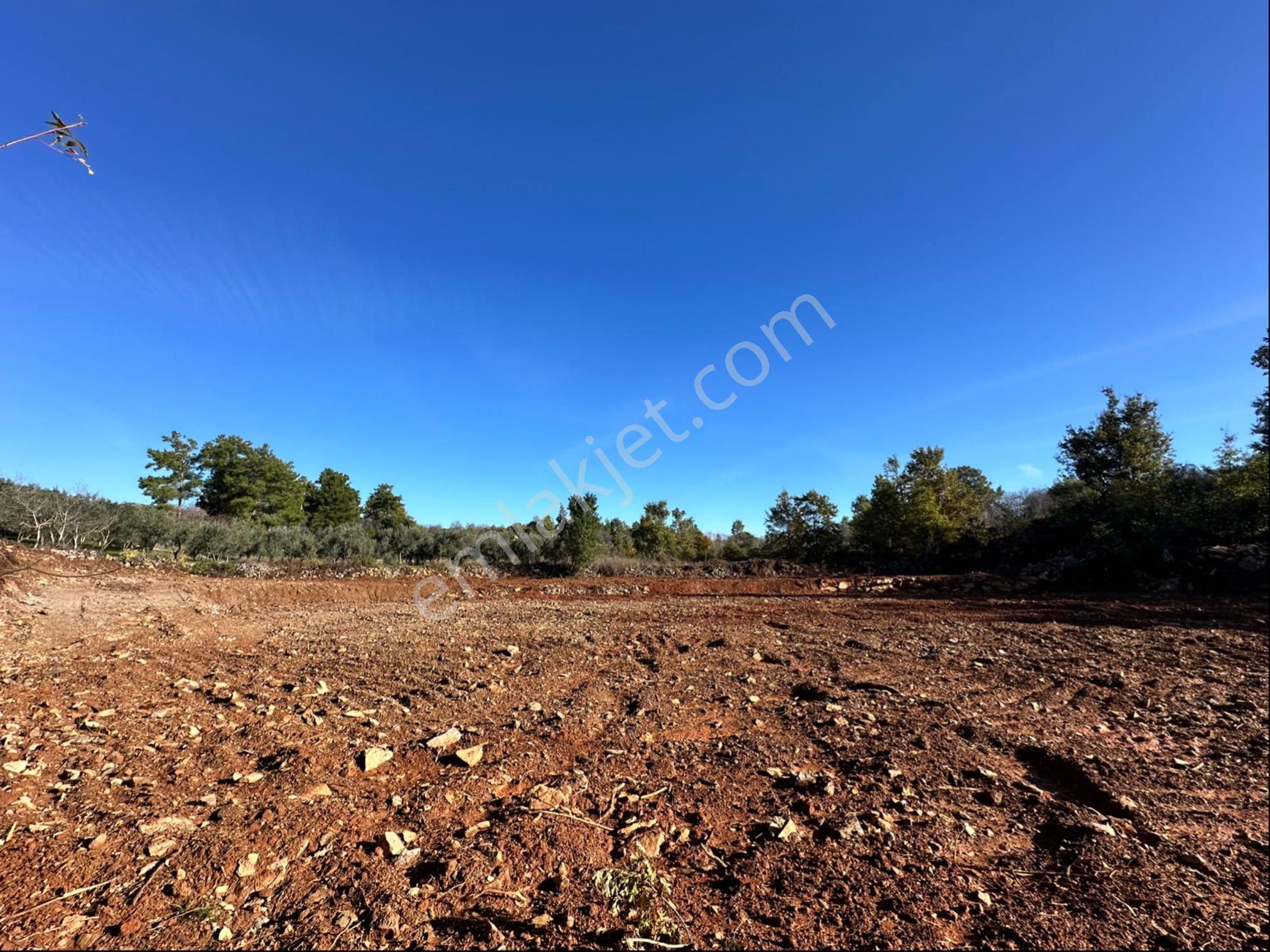 Alanya Karamanlarda Satılık 2.650 M2 Tarla