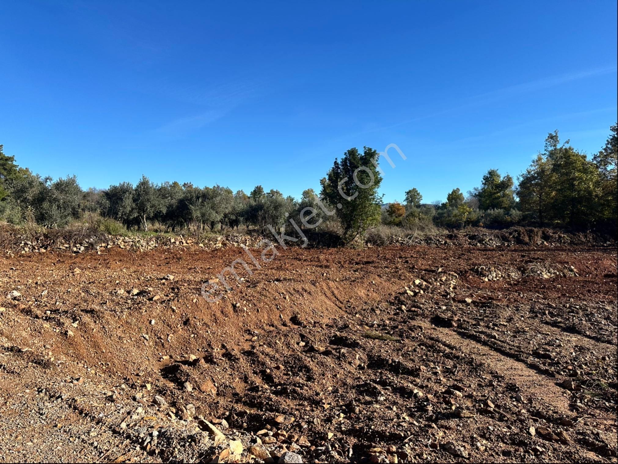 Alanya Karamanlarda Satılık 2.650 M2 Tarla - Görsel 2