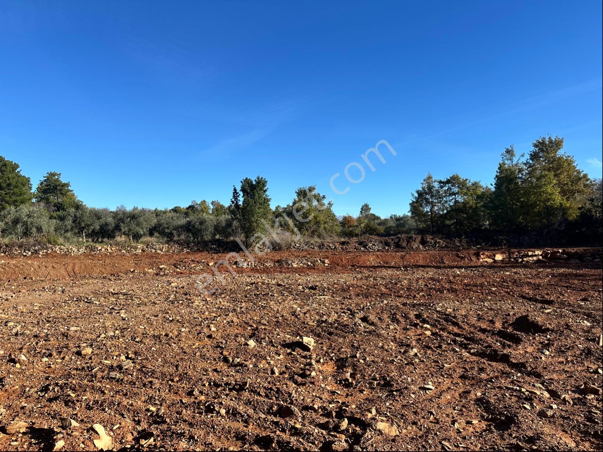 Alanya Karamanlarda Satılık 2.650 M2 Tarla - Görsel 16