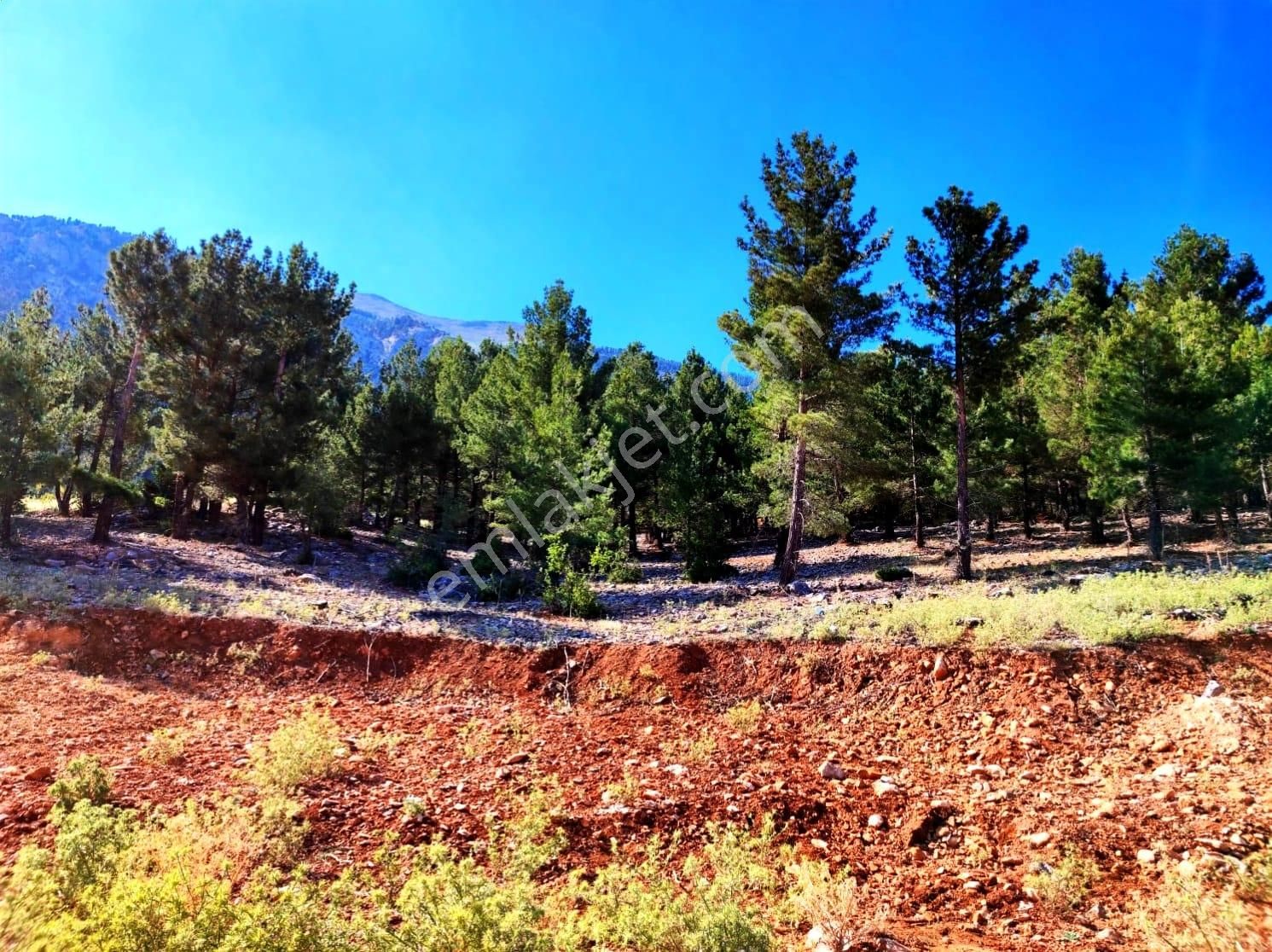 Kar Emlaktan Yenikonacık Efes Sitesi Üstünde 400 M2 İmarlı İfrazlı Satılık Arsa - Görsel 8