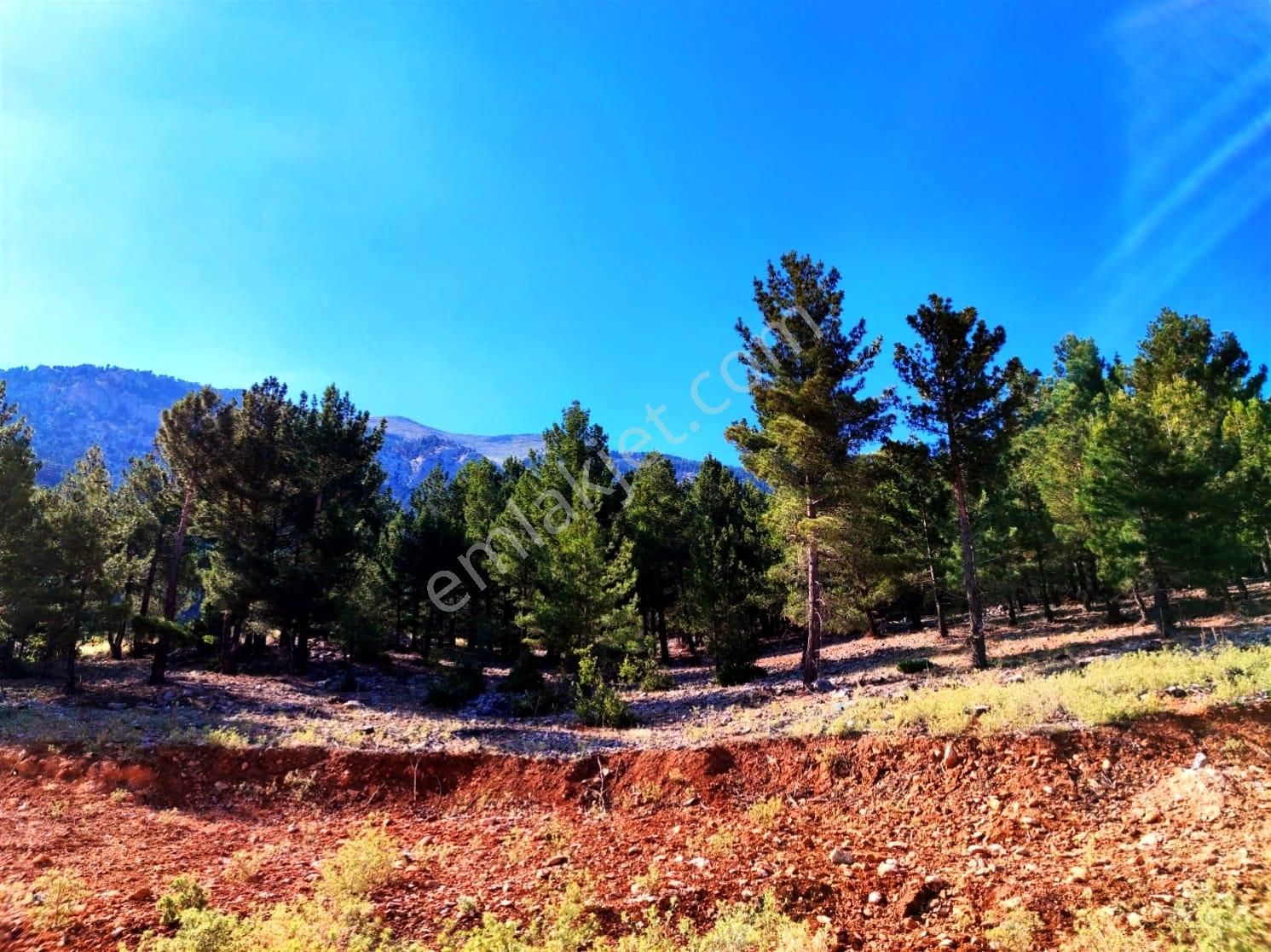 Kar Emlaktan Yenikonacık Efes Sitesi Üstünde 400 M2 İmarlı İfrazlı Satılık Arsa - Görsel 10