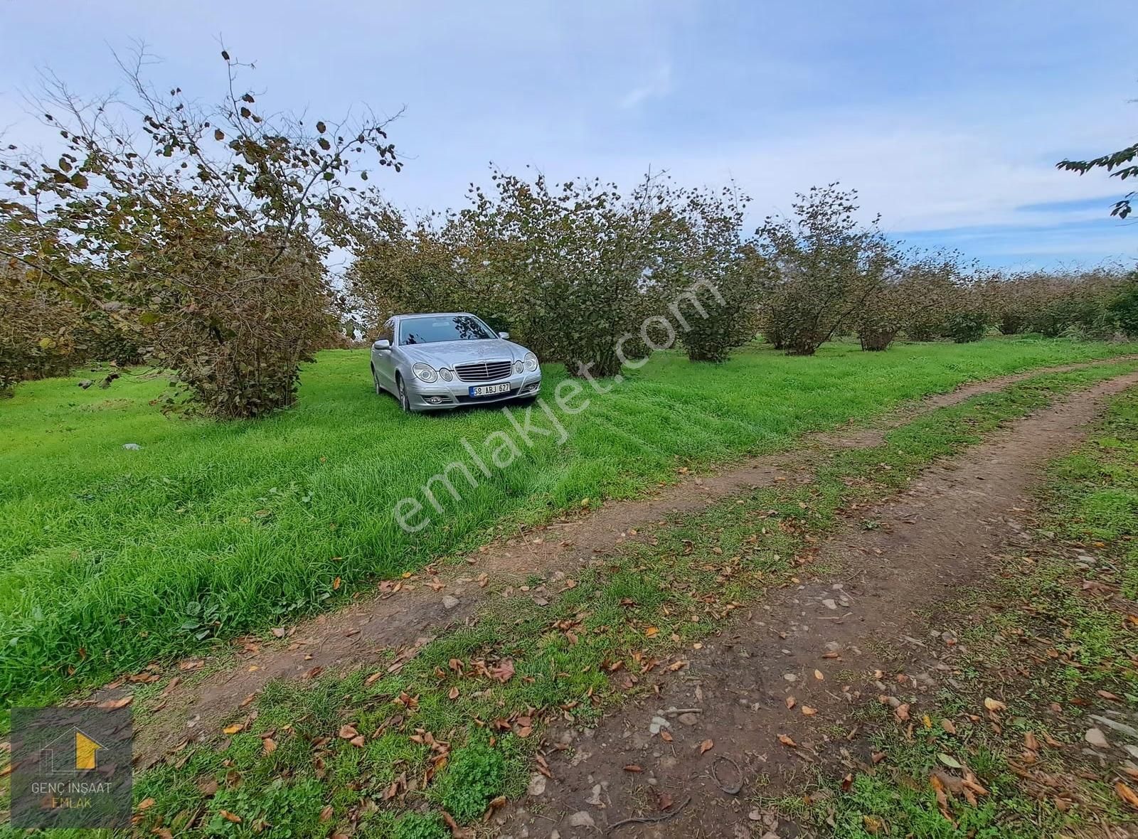 Karasu'da Full Deniz Manzaralı 7.618 M² Fındık Bahçesi - Görsel 2