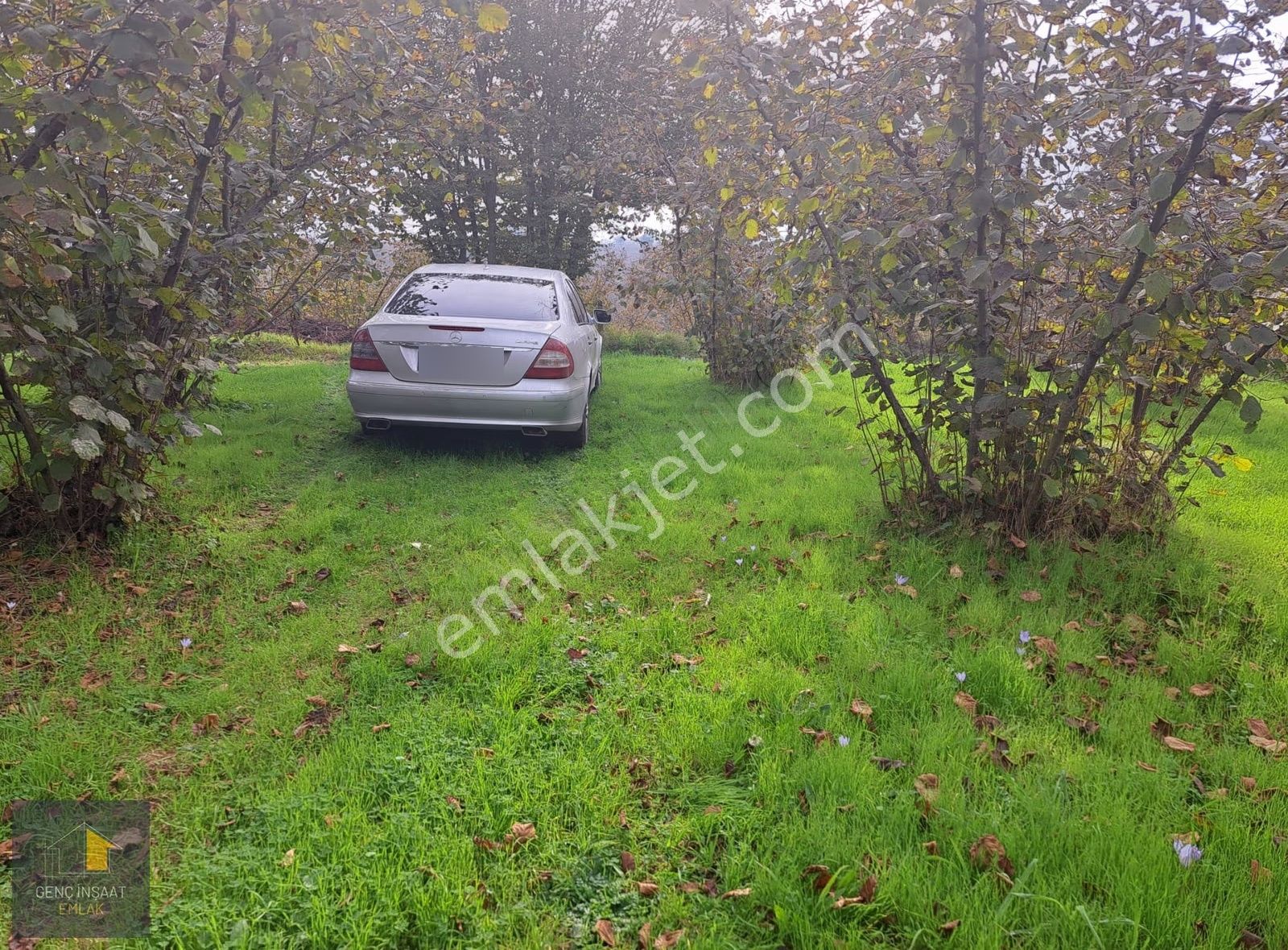 Karasu'da Full Deniz Manzaralı 7.618 M² Fındık Bahçesi - Görsel 3