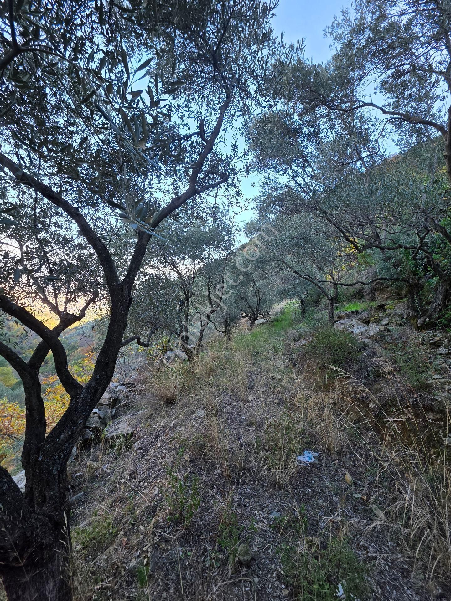 Ali Akdoğan Emlak Ofisinden Satılıktır - Görsel 11
