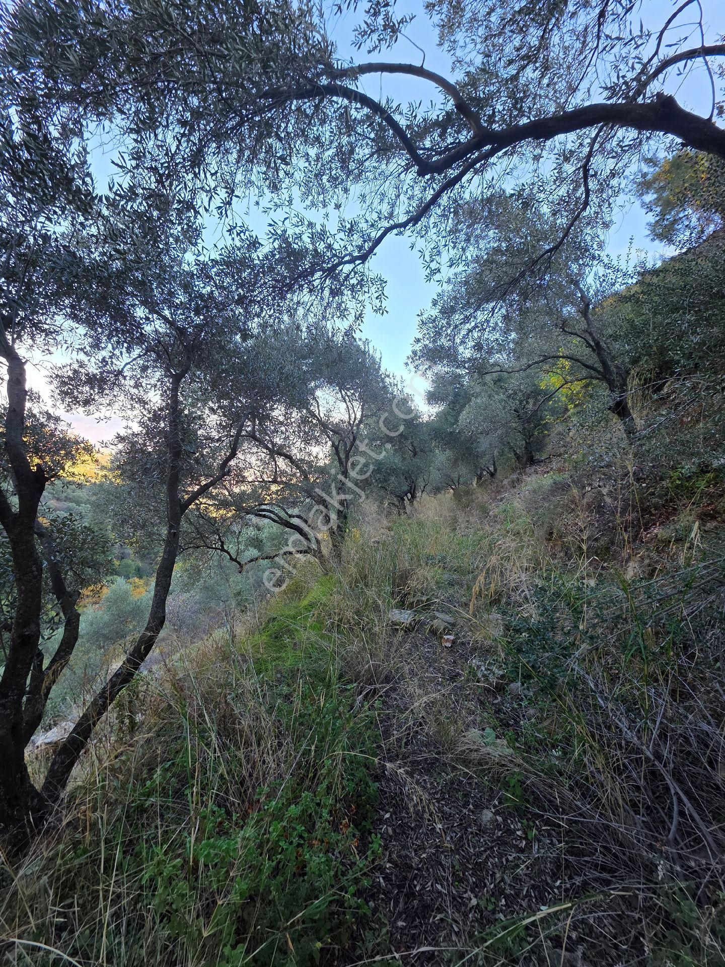 Ali Akdoğan Emlak Ofisinden Satılıktır - Görsel 10