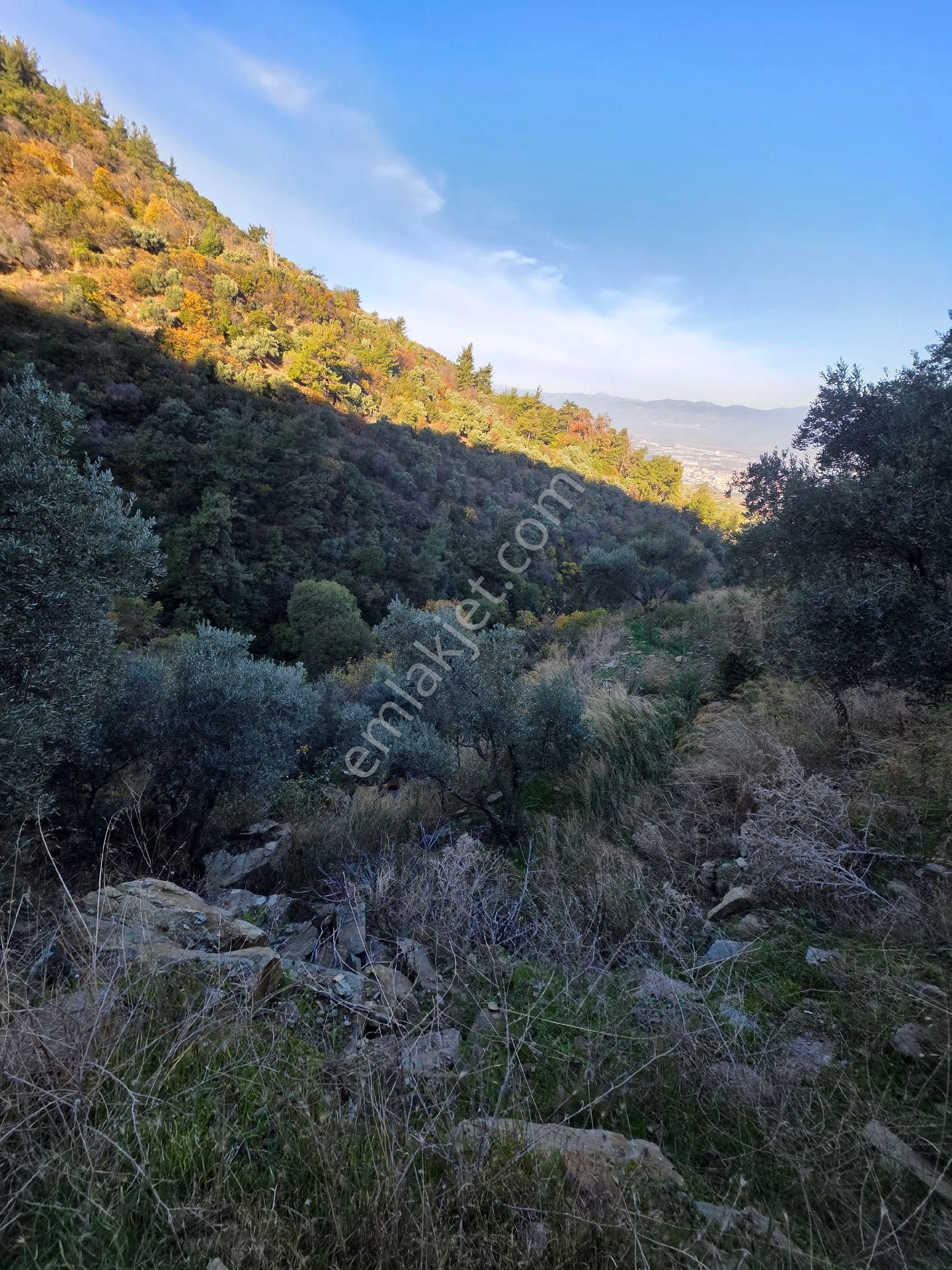 Ali Akdoğan Emlak Ofisinden Satılıktır - Görsel 13