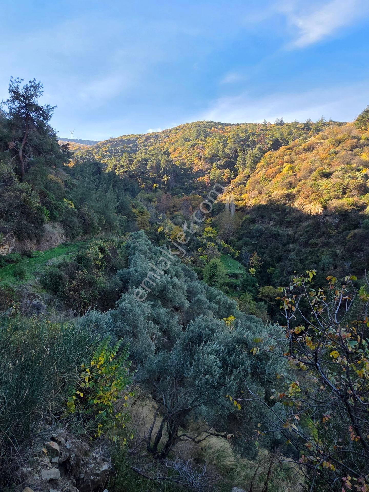 Ali Akdoğan Emlak Ofisinden Satılıktır - Görsel 3