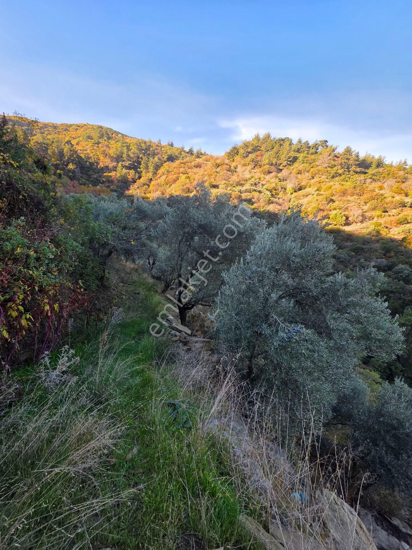 Ali Akdoğan Emlak Ofisinden Satılıktır - Görsel 17