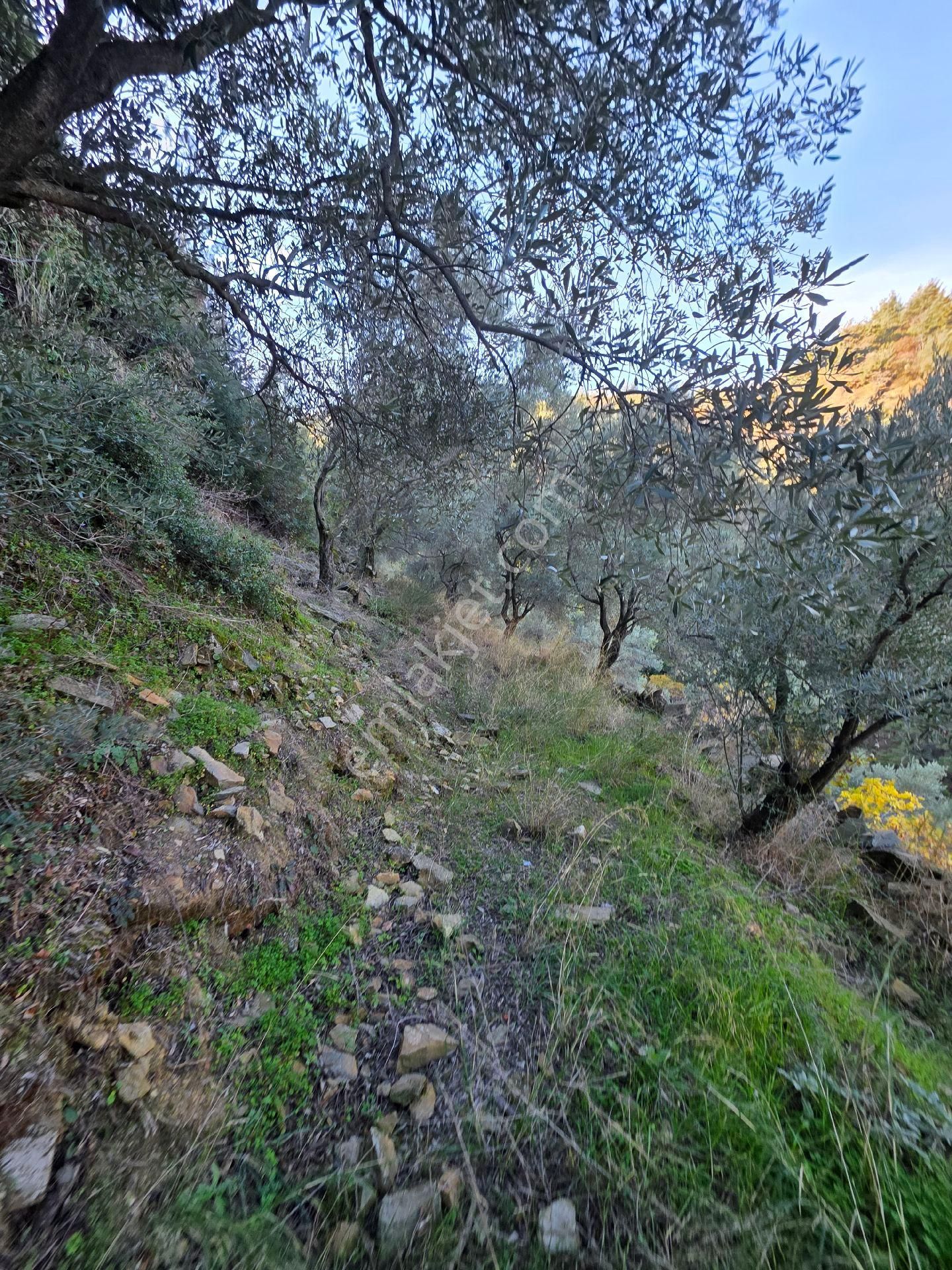 Ali Akdoğan Emlak Ofisinden Satılıktır - Görsel 15