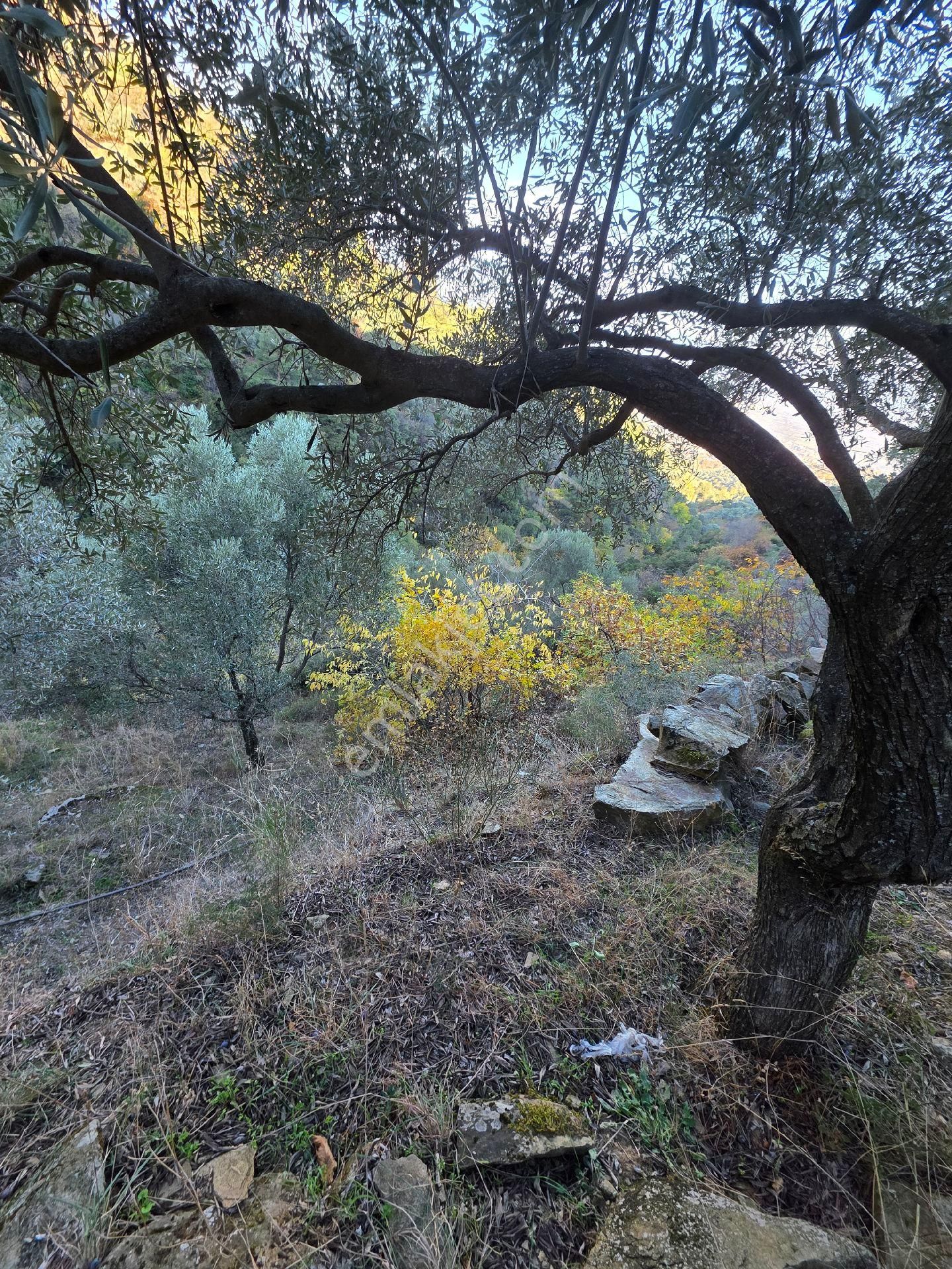 Ali Akdoğan Emlak Ofisinden Satılıktır - Görsel 9