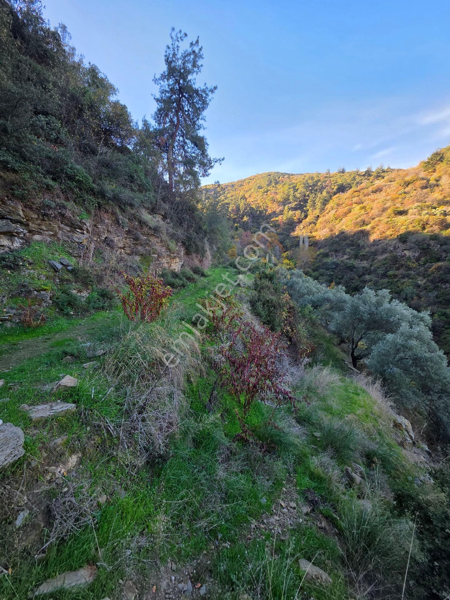 Ali Akdoğan Emlak Ofisinden Satılıktır - Görsel 18
