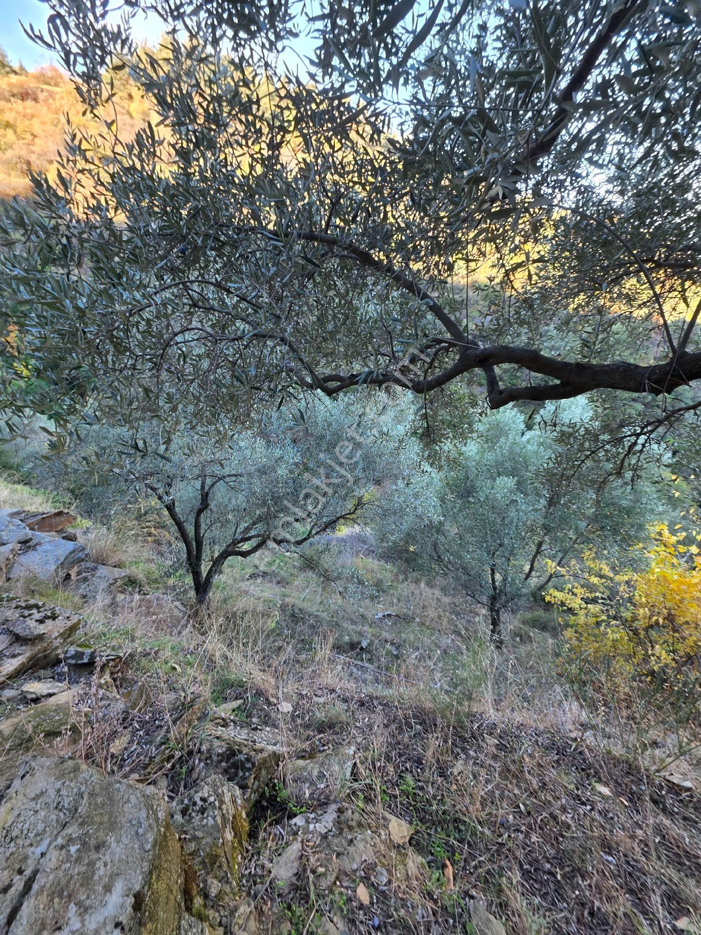 Ali Akdoğan Emlak Ofisinden Satılıktır - Görsel 12