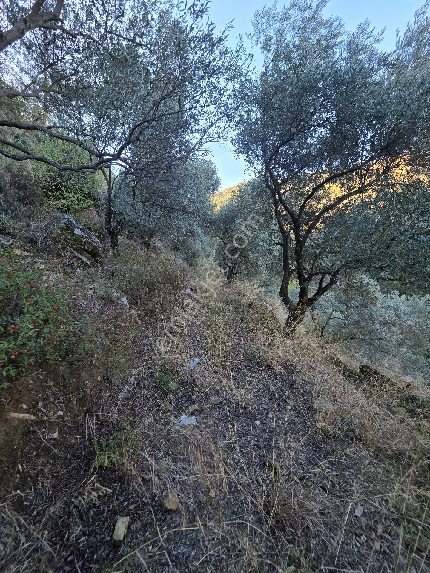 Ali Akdoğan Emlak Ofisinden Satılıktır - Görsel 14