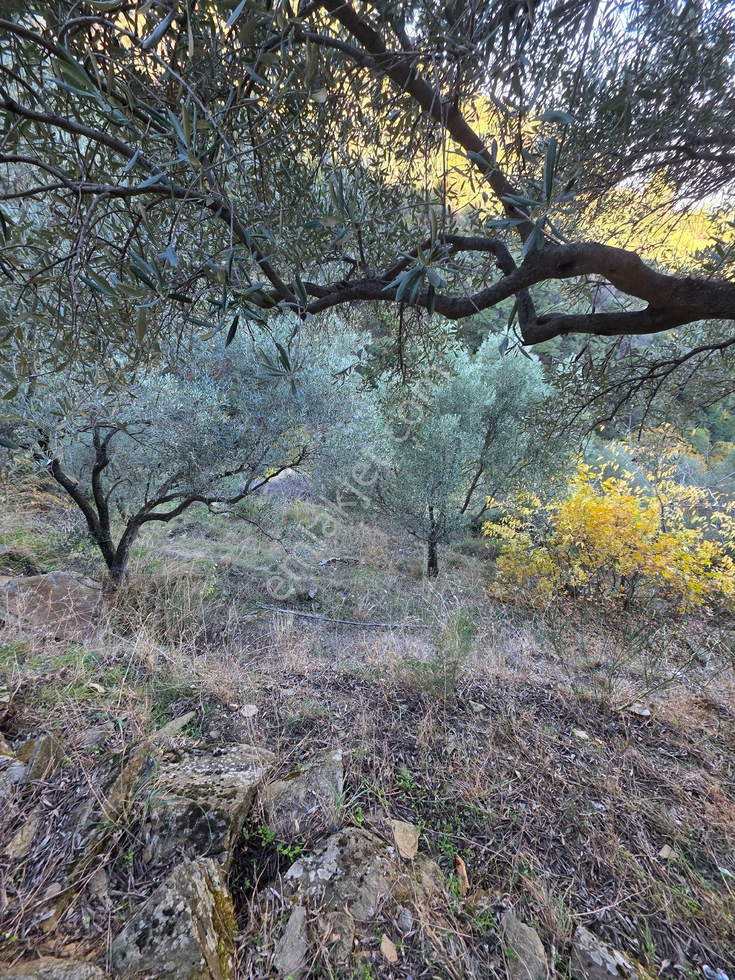 Ali Akdoğan Emlak Ofisinden Satılıktır - Görsel 8