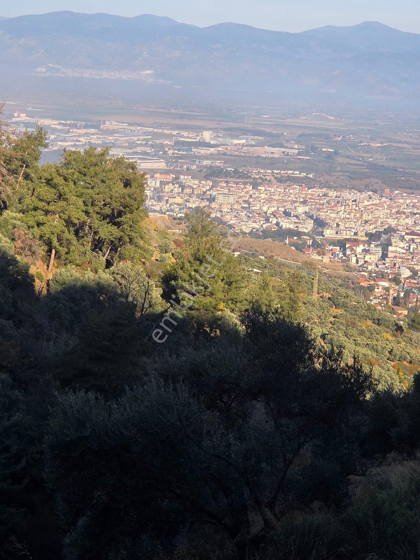 Ali Akdoğan Emlak Ofisinden Satılıktır - Görsel 5