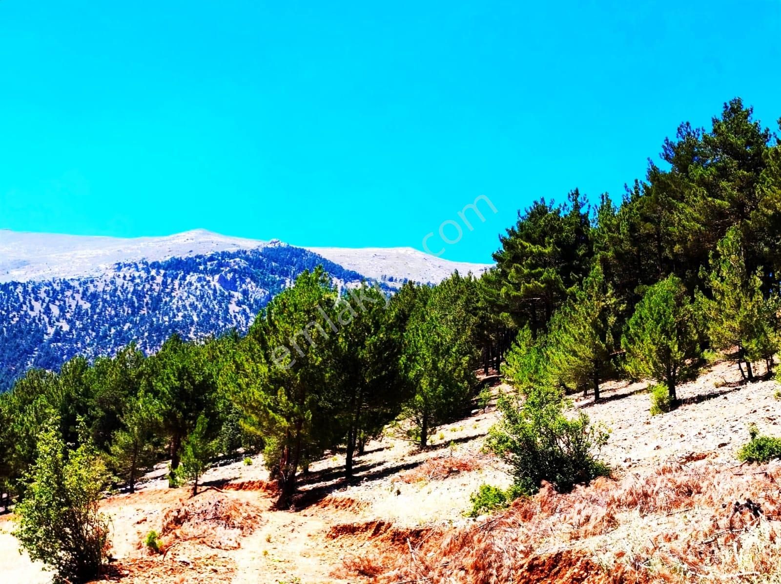 Kar Emlaktan Yenikonacık Efes Sitesi Yanı 480 M2 İmarlı İfrazlı Satılık Arsa - Görsel 26