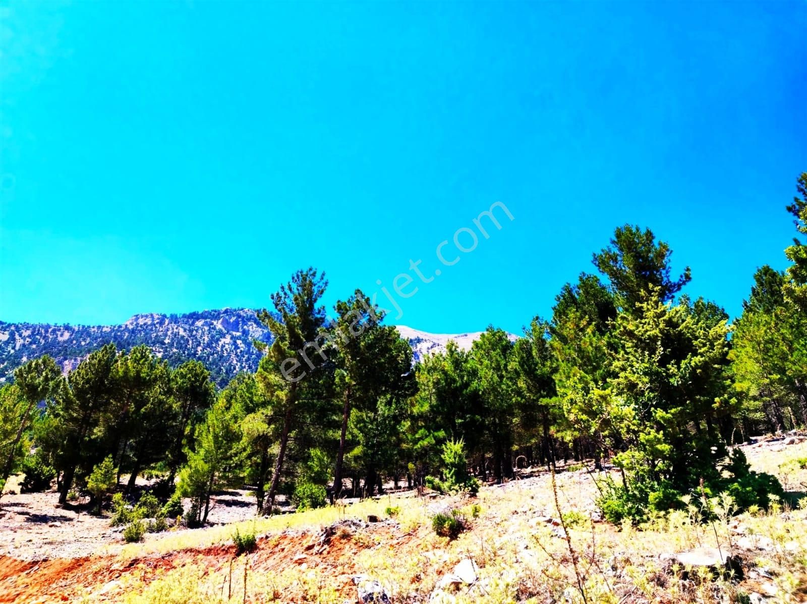 Kar Emlaktan Yenikonacık Efes Sitesi Yanı 480 M2 İmarlı İfrazlı Satılık Arsa - Görsel 8