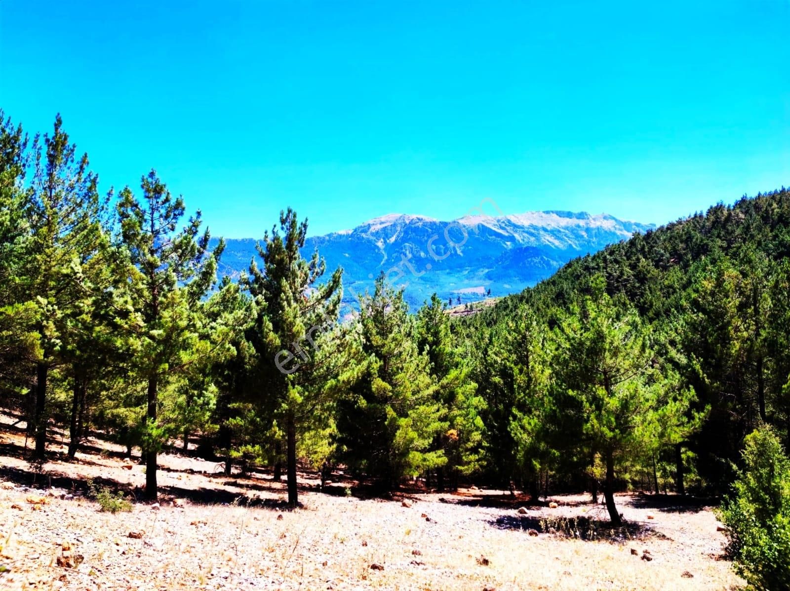 Kar Emlaktan Yenikonacık Efes Sitesi Yanı 480 M2 İmarlı İfrazlı Satılık Arsa - Görsel 21