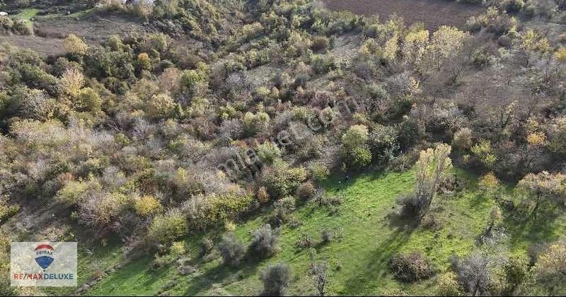 Kabaoğlu Sarıcalar Mevkii Satılık 1854 M2 Konut Arsası - Görsel 3