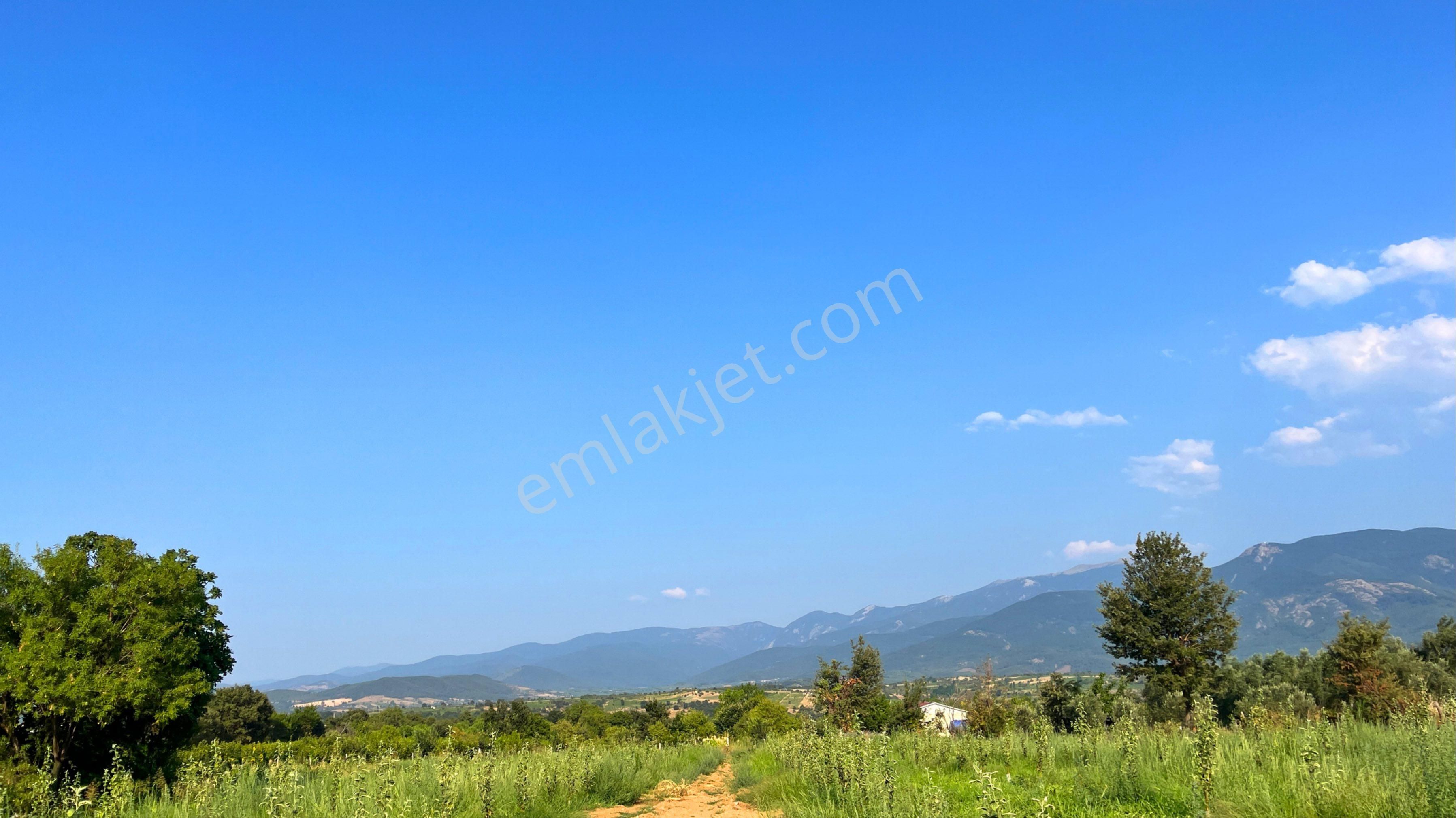 Kaz Dağları'nda İçinde Evi Olan, Organik Ceviz Ve Meyve Bahçeli 9500m² Tarla - Görsel 13