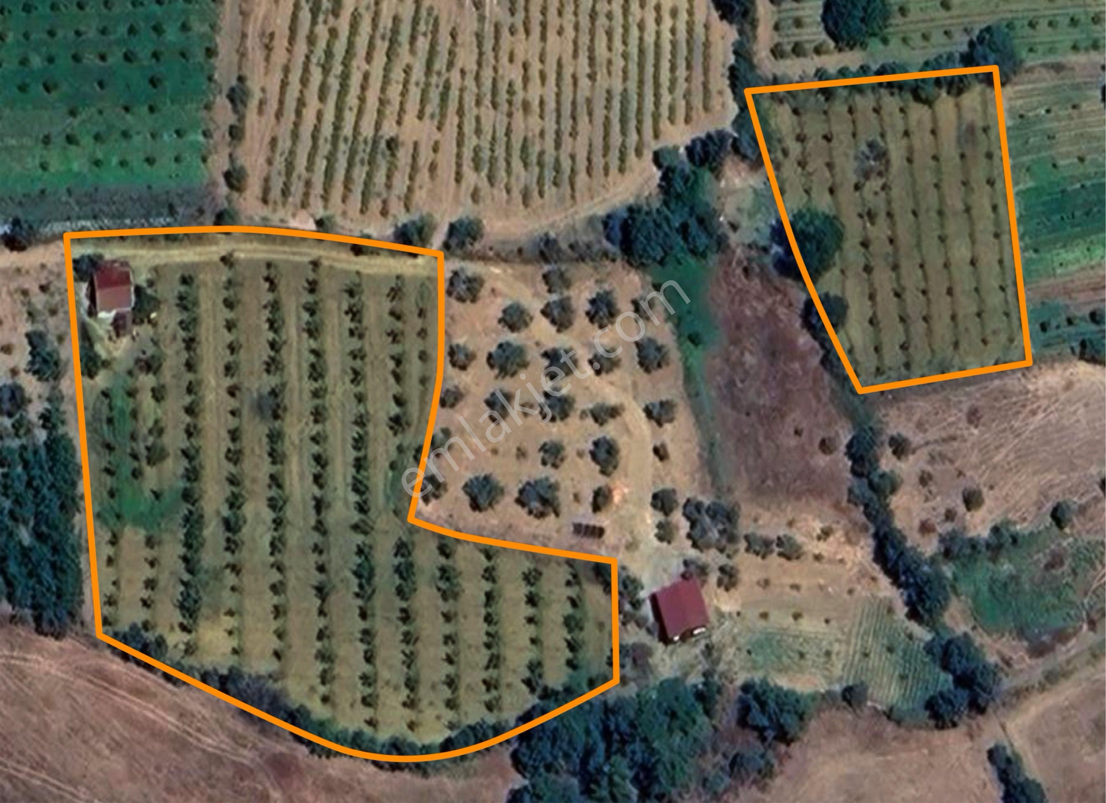 Kaz Dağları'nda İçinde Evi Olan, Organik Ceviz Ve Meyve Bahçeli 9500m² Tarla