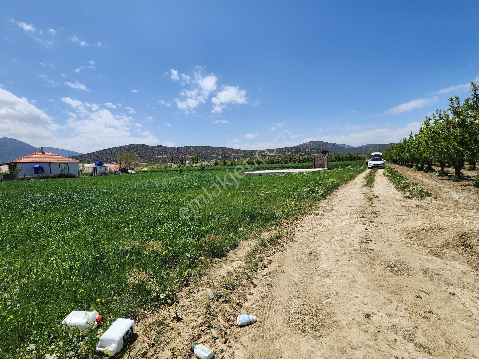 Fırsatt! Korkuteli Yazır Da Sera Çiftlik Ve Yazlık Yapımına Uygun Arazimiz Acil Satılıktır