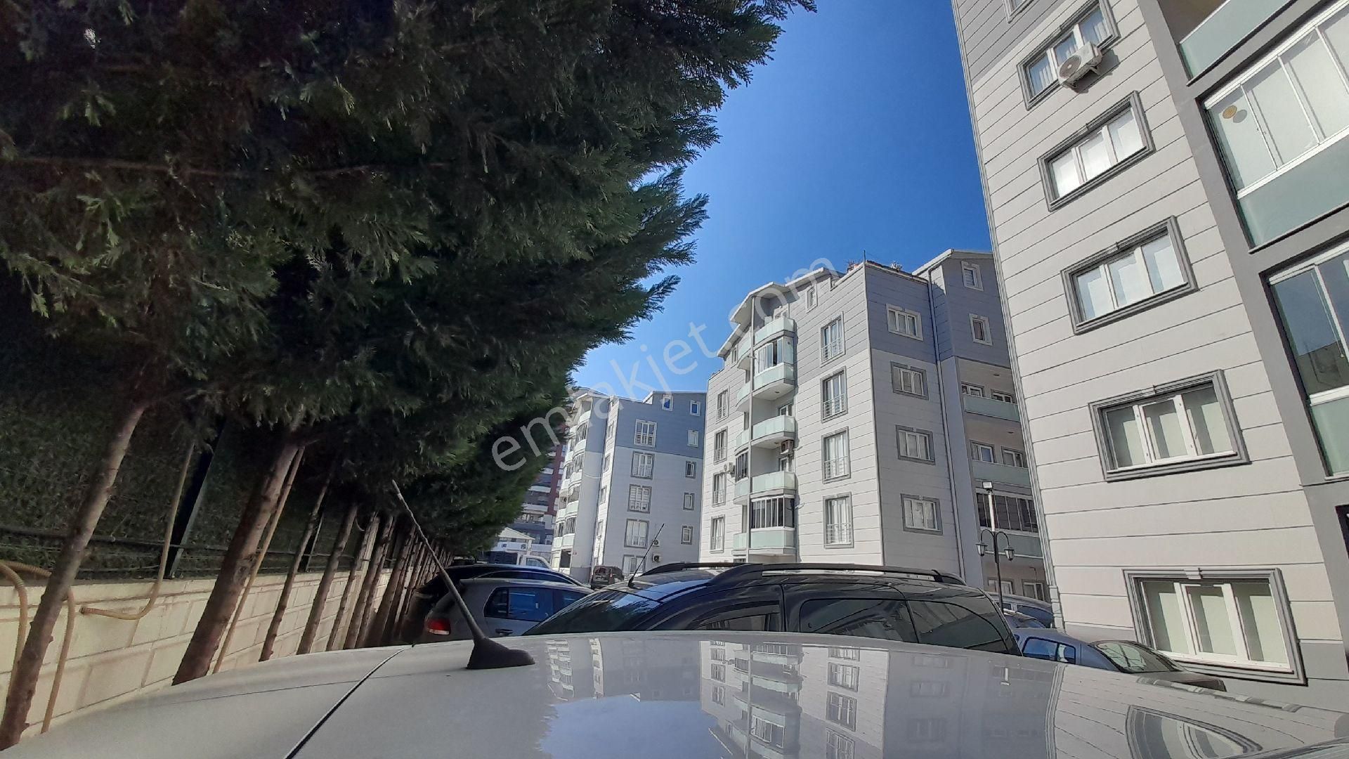 Rt Safirden Millet Mh. Kiralık 2+1 Daire1 - Görsel 6