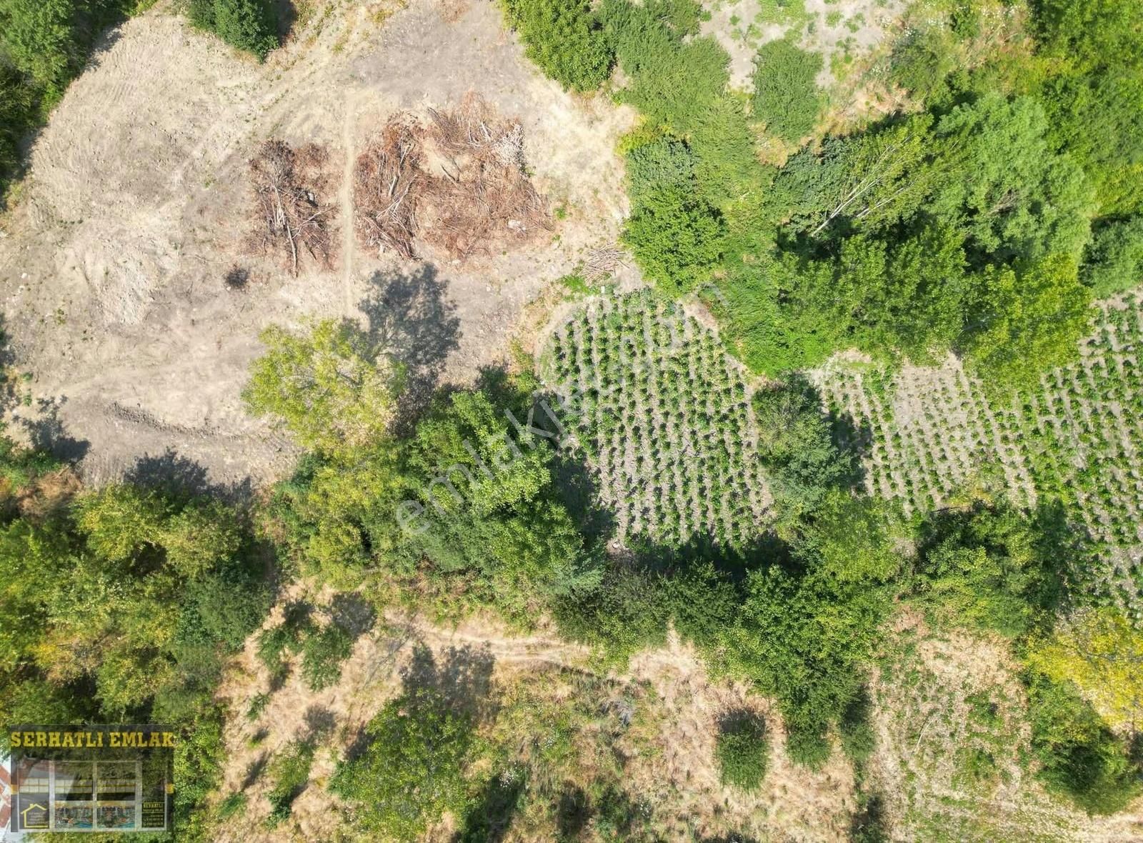 Serhatlı'dan Paşaörende Satılık Arsa