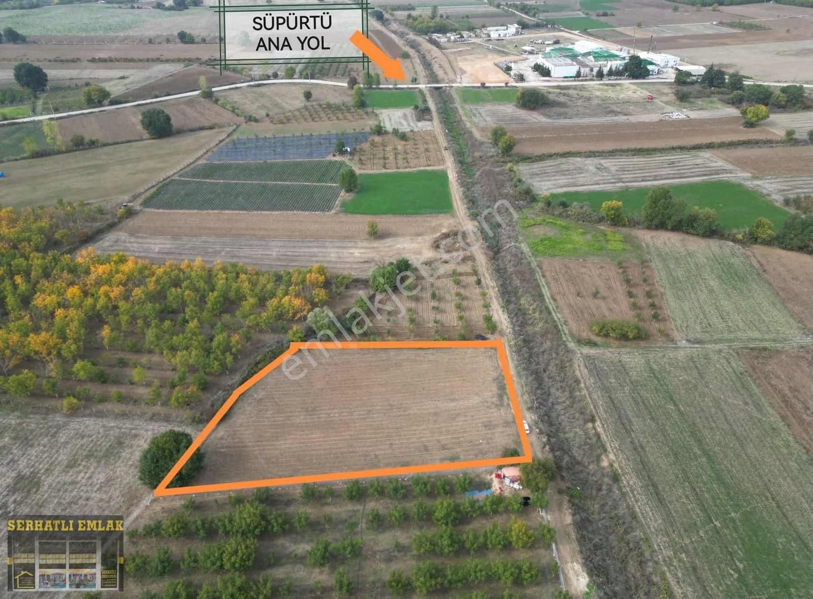 Serhatlı'dan Süpürtüde Yatırımlık Tarla - Görsel 6