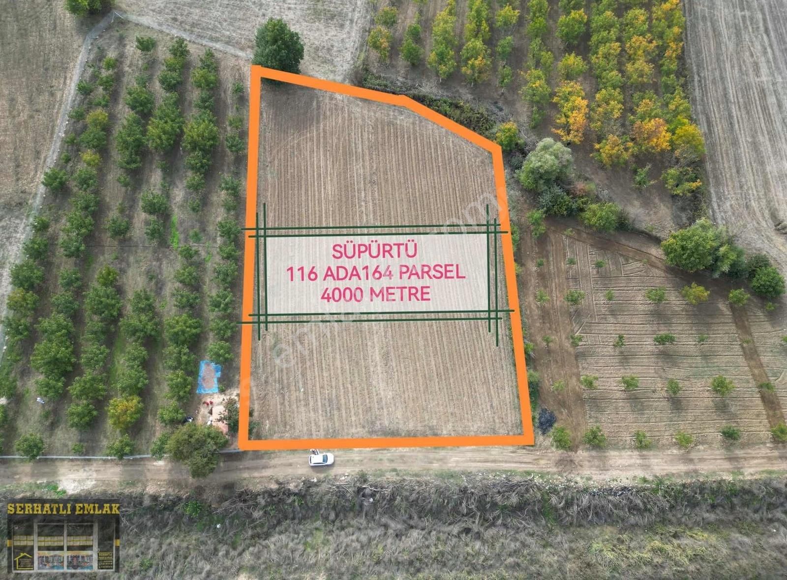 Serhatlı'dan Süpürtüde Yatırımlık Tarla - Görsel 5