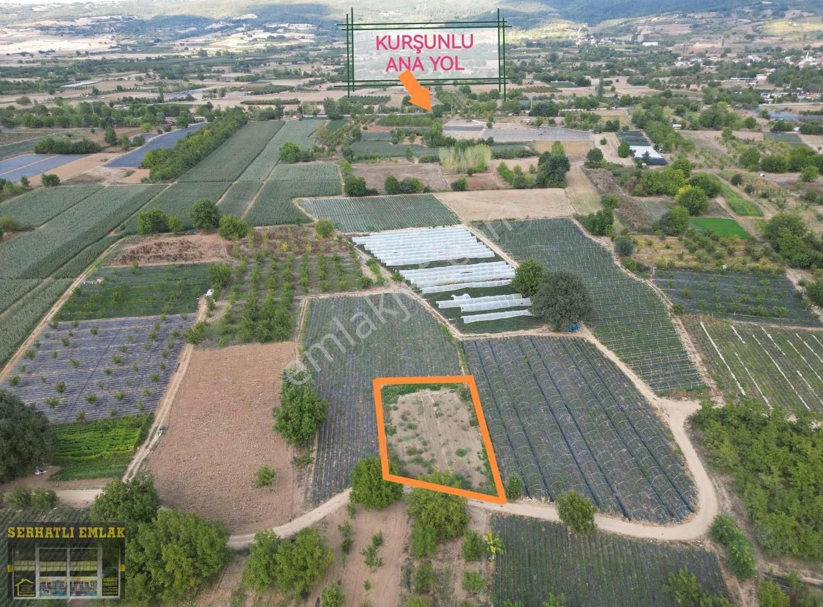 Serhatlı'dan Acil Satılık Fırsat Tarla - Görsel 7