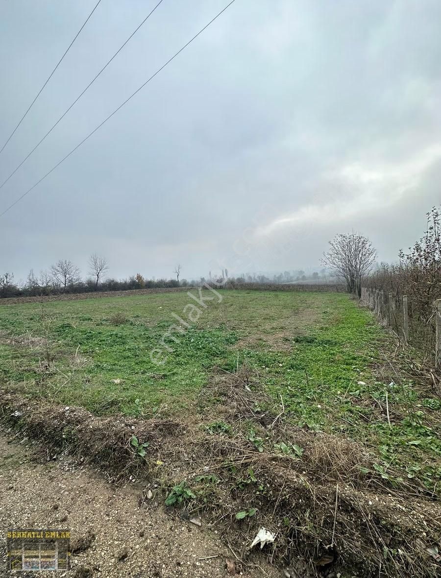 Serhatlı'dan Yiğitköyde Asfalt Üzerinde Değerli Tarla - Görsel 9