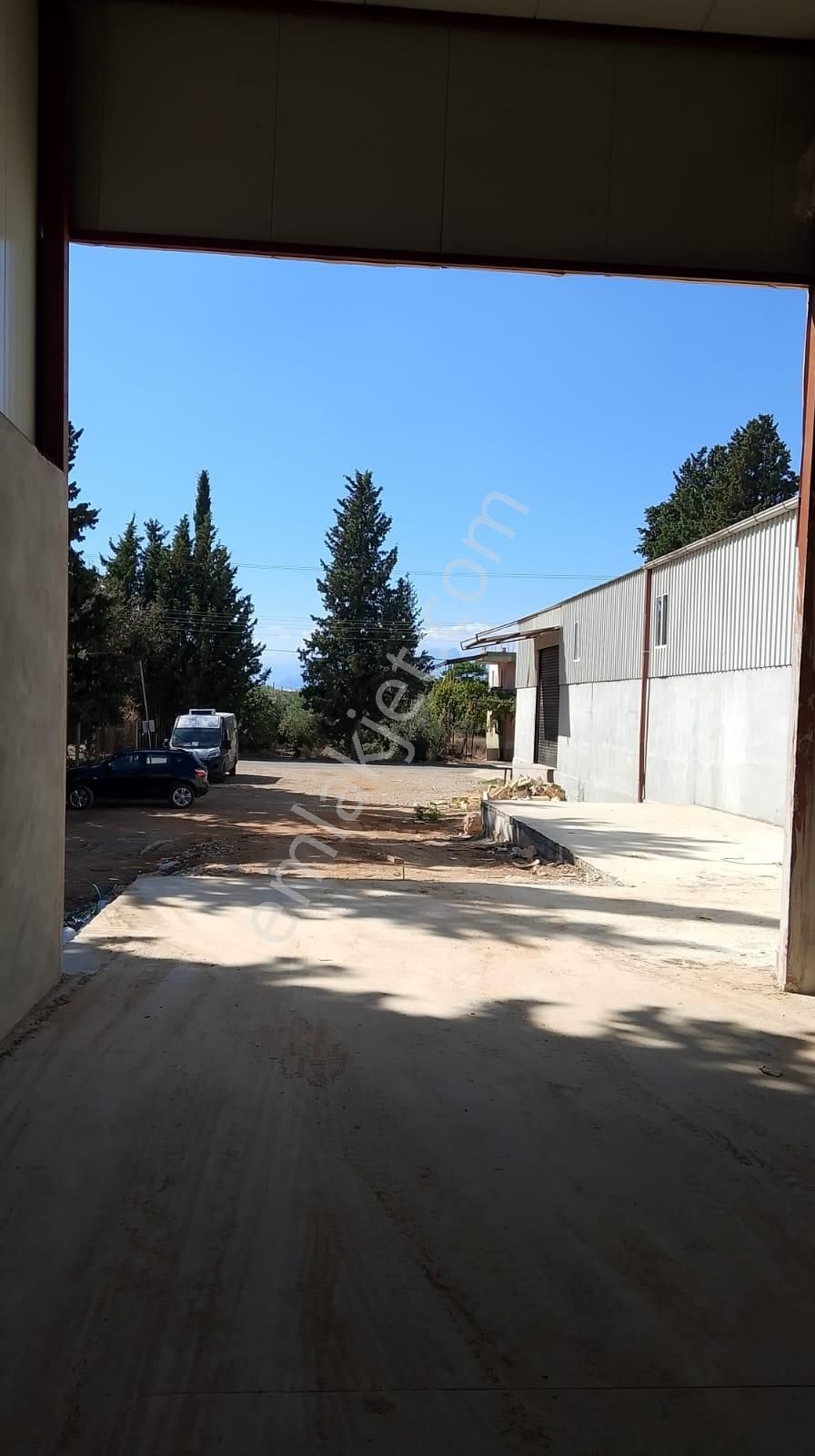 Antalya-kepez-menderes Mah. 1000 M2 Kiralık Depo - Görsel 3