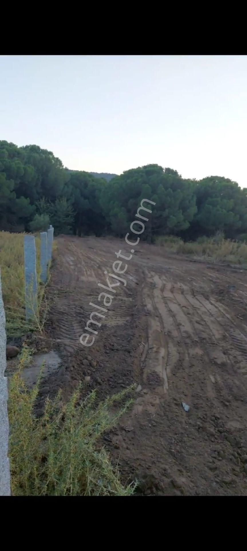 Bergama Kozak Aşağıcuma Mah Köy İçi İmarlı Satılık Sebze Meyve Hobi Bahçesi - Görsel 2