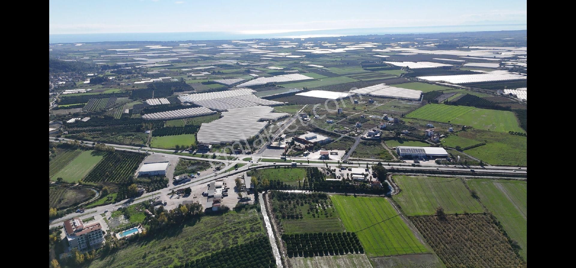 Taşağıl'da Geleceğe Altın Bir Yatırım Satılık 18 Dönüm Portakal Bahçesi