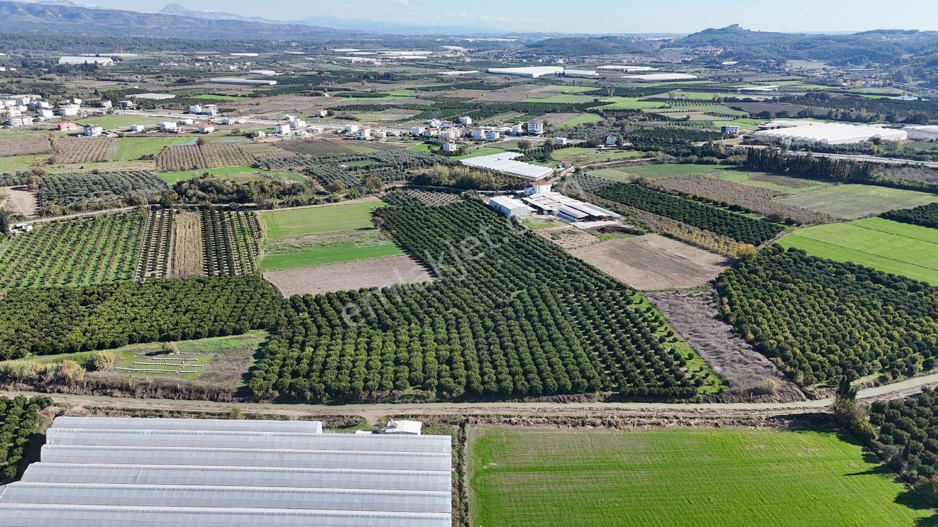 Taşağıl'da Geleceğe Altın Bir Yatırım Satılık 18 Dönüm Portakal Bahçesi - Görsel 25