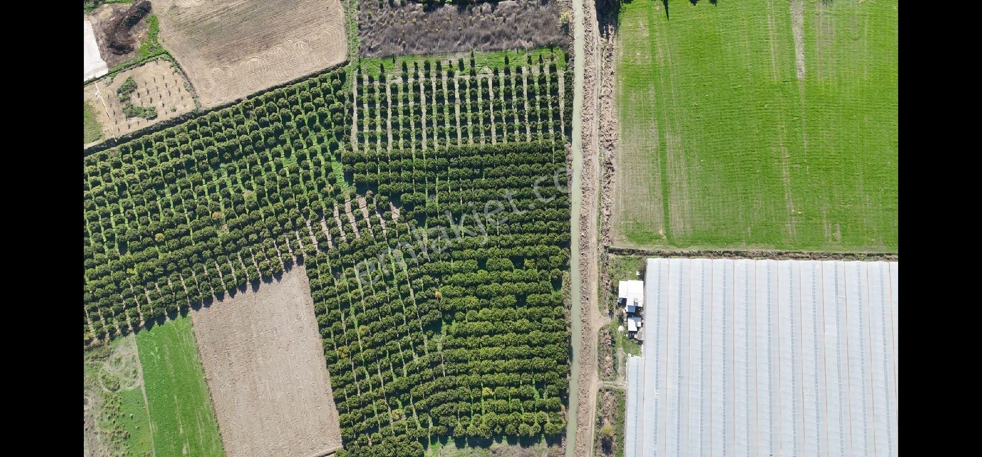 Taşağıl'da Geleceğe Altın Bir Yatırım Satılık 18 Dönüm Portakal Bahçesi - Görsel 4